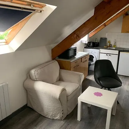 公寓 Tres Beau Studio Tout Equipe A 20 Mn De Paris *
